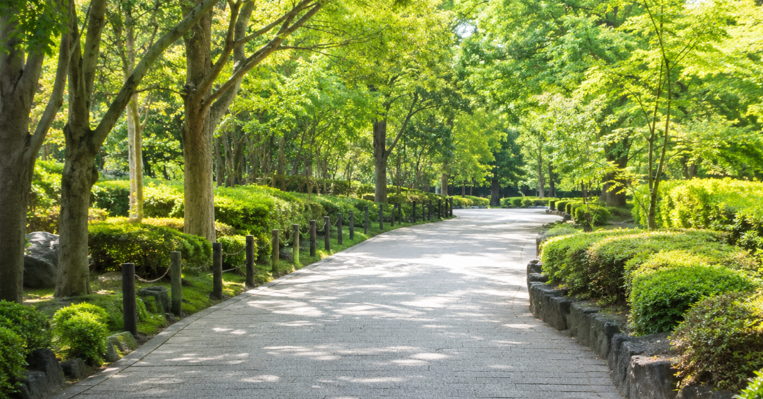 愛・地球博記念公園内の整備された静かな散策路イメージ