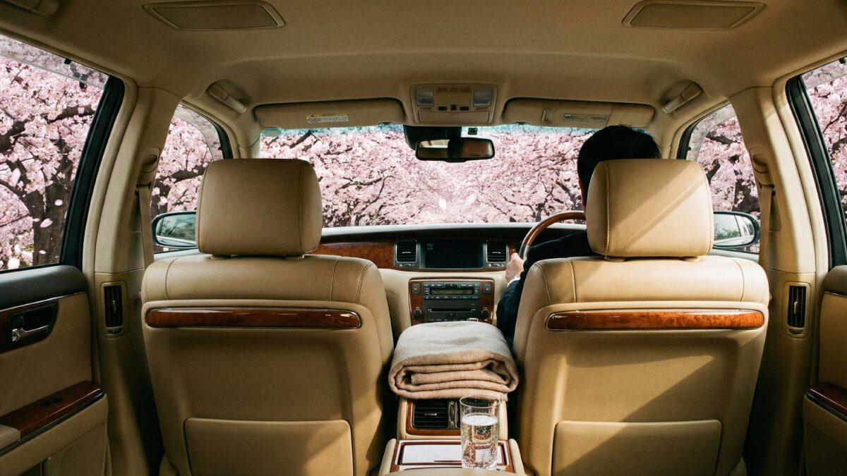 タクシーの車窓いっぱいに広がる桜並木