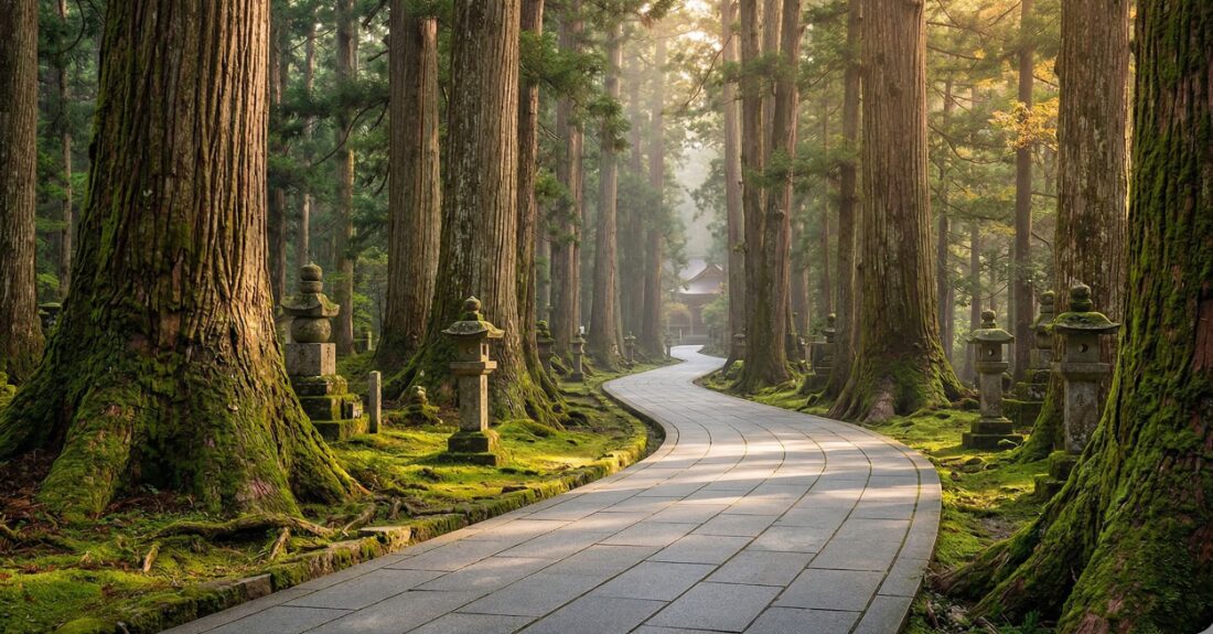 奥の院前からのバリアフリー参道