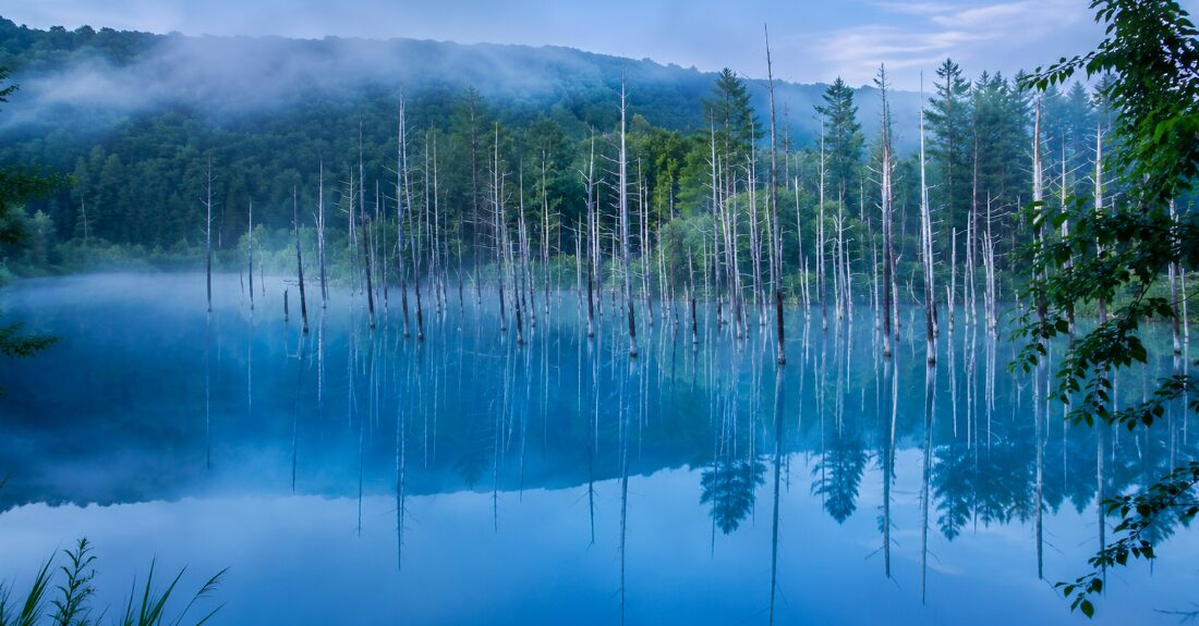 美瑛の青い池、または美しい丘陵地帯の風景