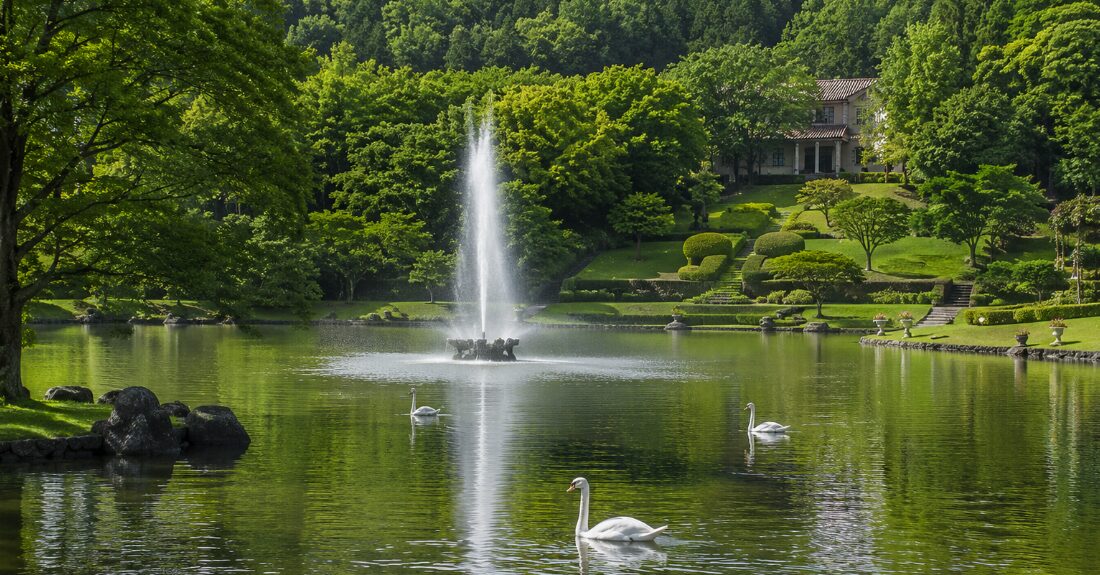 観光客が消えた旧DIC川村記念美術館庭園。噴水と白鳥、濃緑のみ