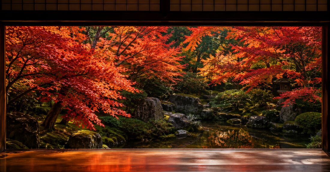 京都の額縁庭園から見える鮮やかな紅葉の風景