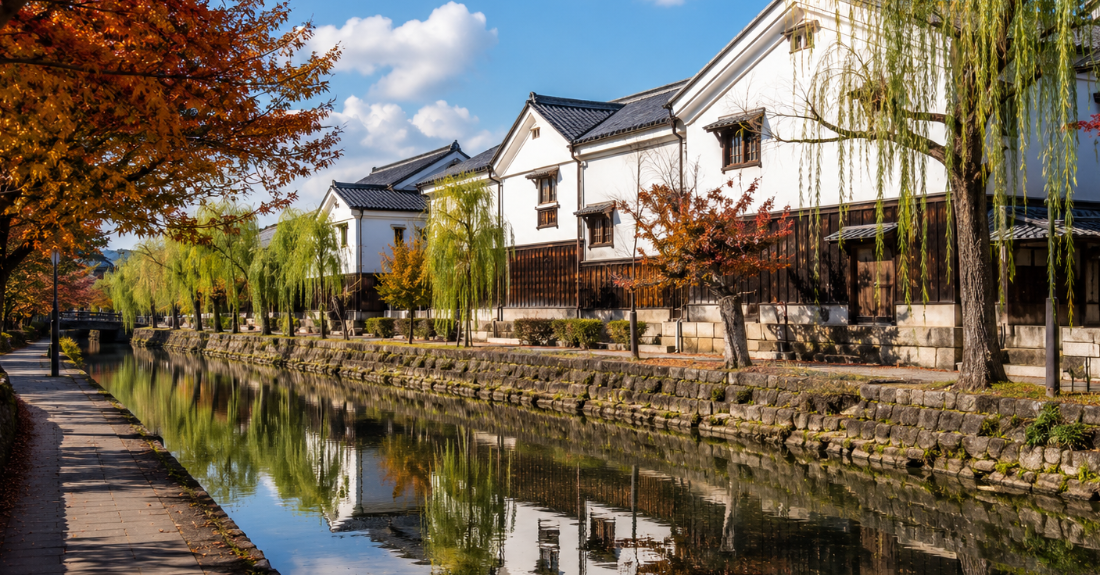 伏見の重厚な白壁酒蔵と柳並木、紅葉が美しく映える静かな濠川の風景