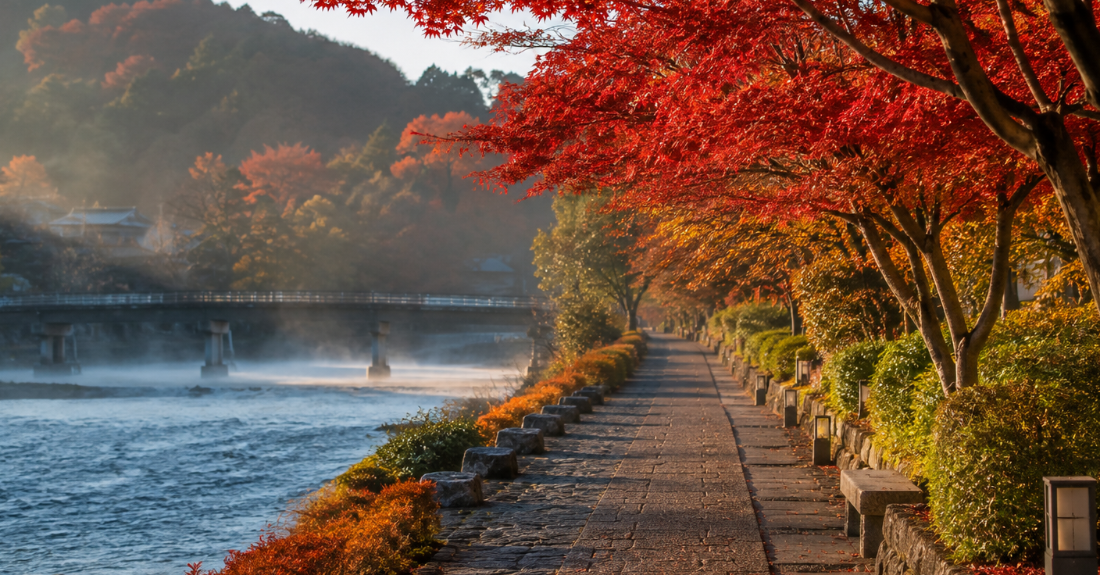 朝の澄んだ空気と紅葉に包まれる宇治川沿いの平坦な遊歩道「あじろぎの道」